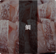 鯛