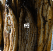 鰻